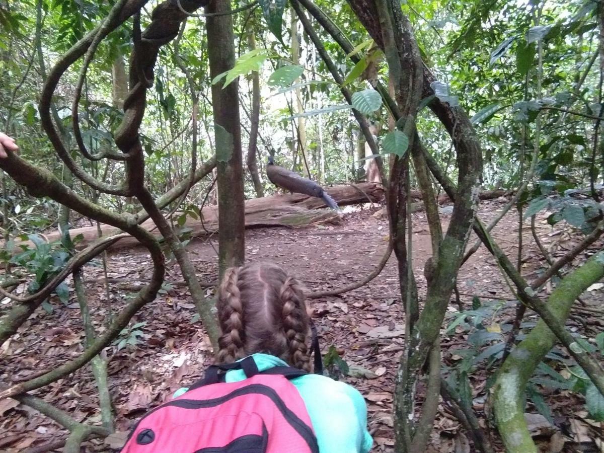 Landak River Guest House Only Trekking With Us Bukit Lawang Exterior foto