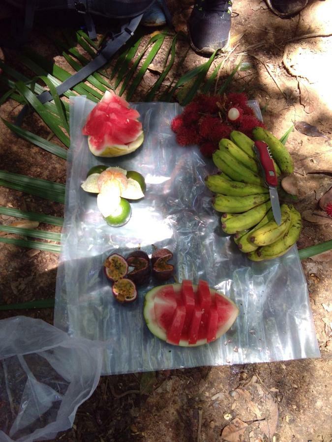 Landak River Guest House Only Trekking With Us Bukit Lawang Exterior foto